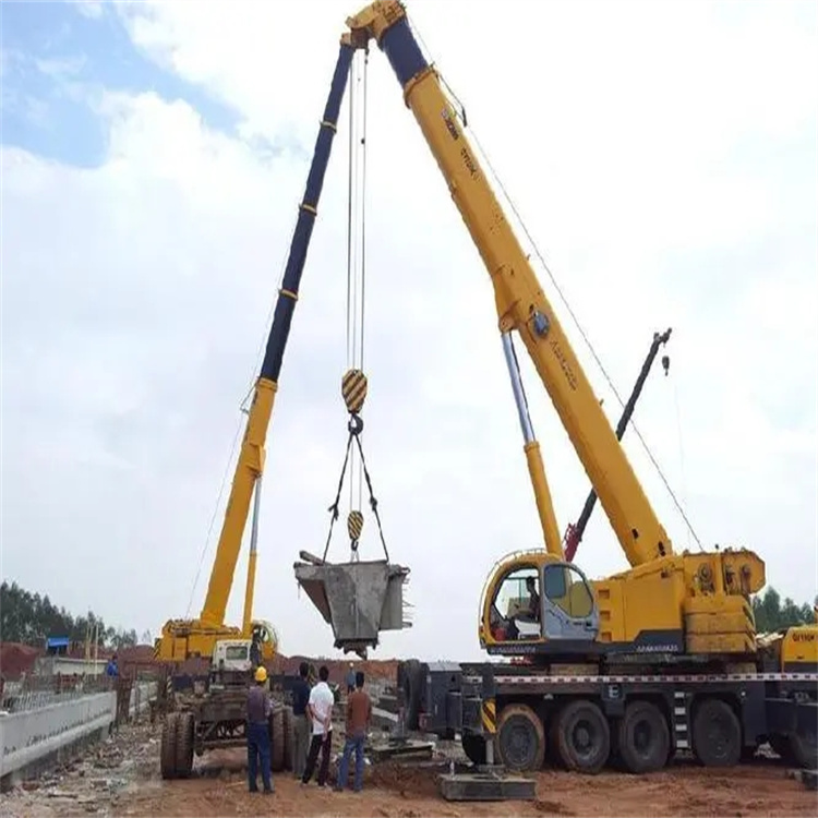 龙南小型吊机出租电话|厂房设备吊装方案|24小时服务覆盖